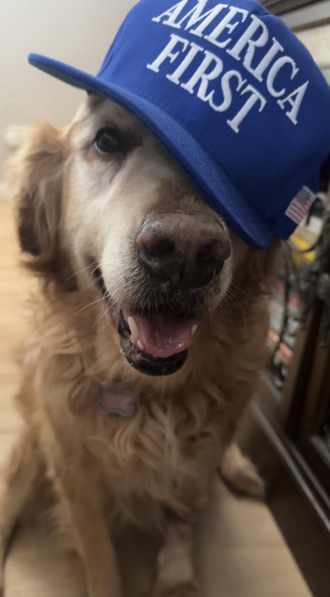 Samurai Groyper tweet media