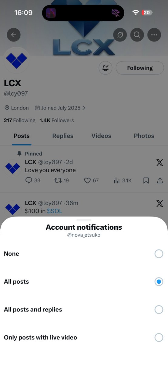 𝘤𝘪𝘤𝘢𝘥𝘢 tweet media
