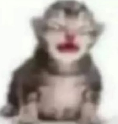 kravchenk7 tweet media