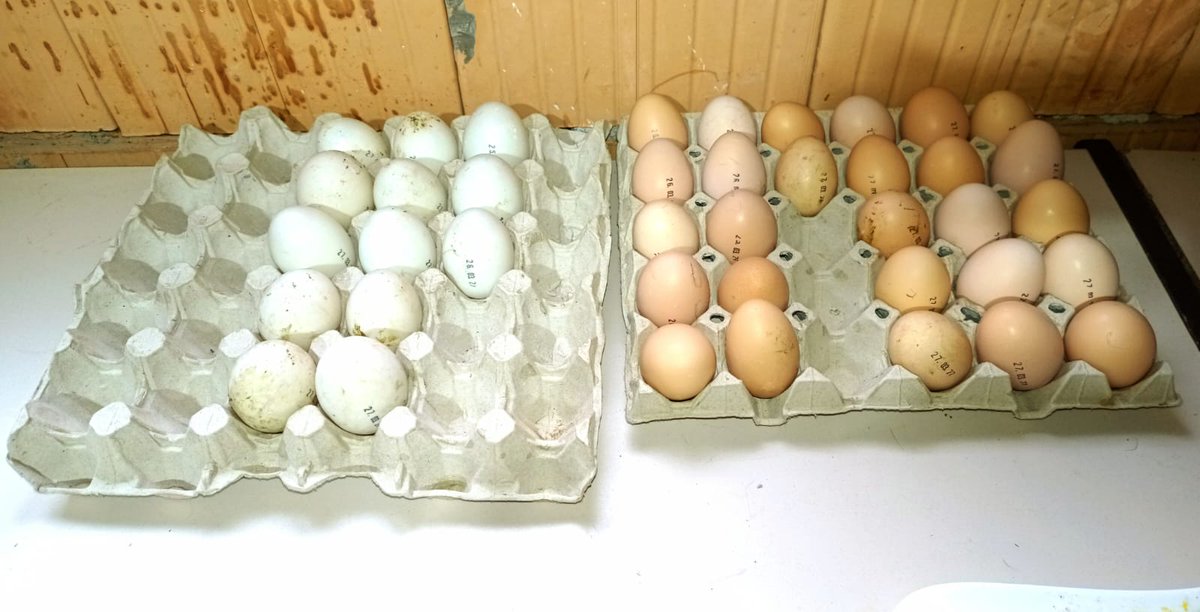 Jerry Fletcher tweet media