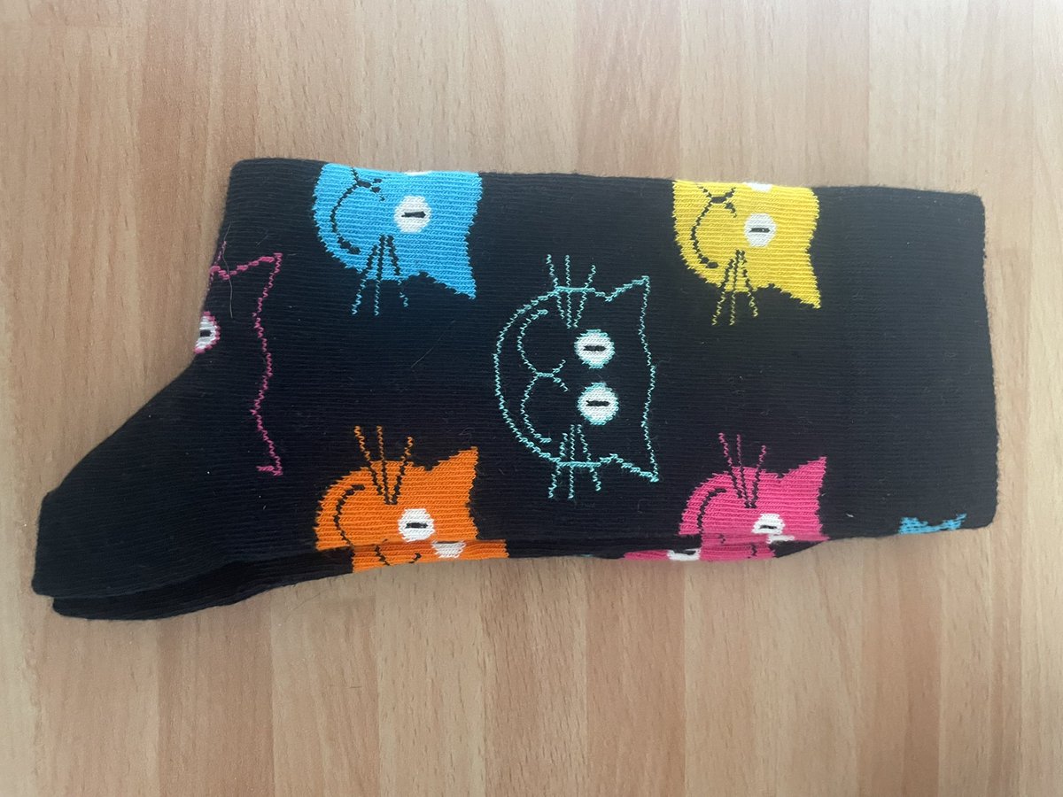 Lexis 🐈 🚺 et Sauronne 🐈‍⬛ 🚺 tweet media