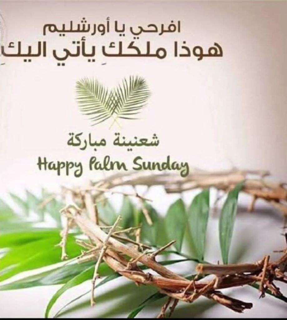 Вiͥaͣncͨaͣ ᴋⷦfoͦuͧrͬy 🇱🇧🌲 tweet media