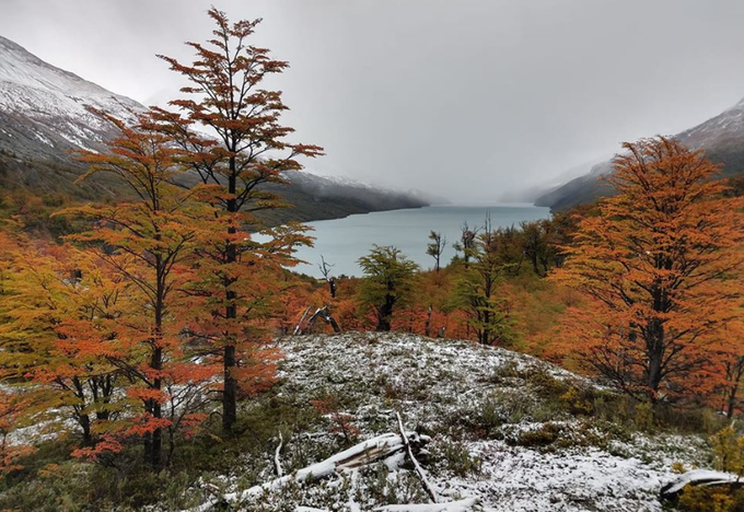 Damian Pablo Ballester tweet media