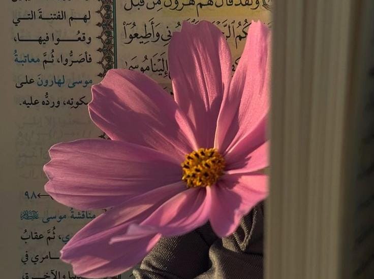 ڈگریاں راستے دکھاتی ہیں، مگر اللّٰہ سے تعلق منزل تک پہنچا دیتا ہے۔🤲