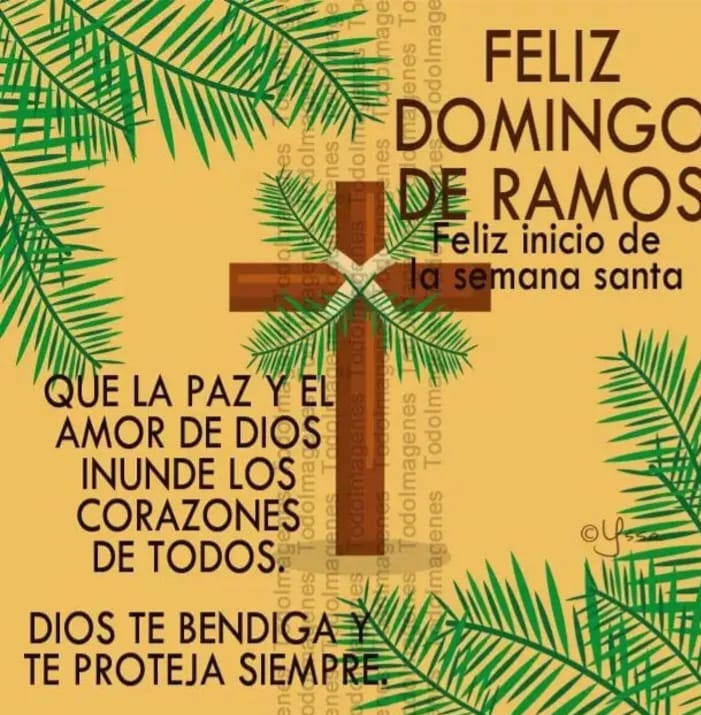 Mayitopalacio tweet media