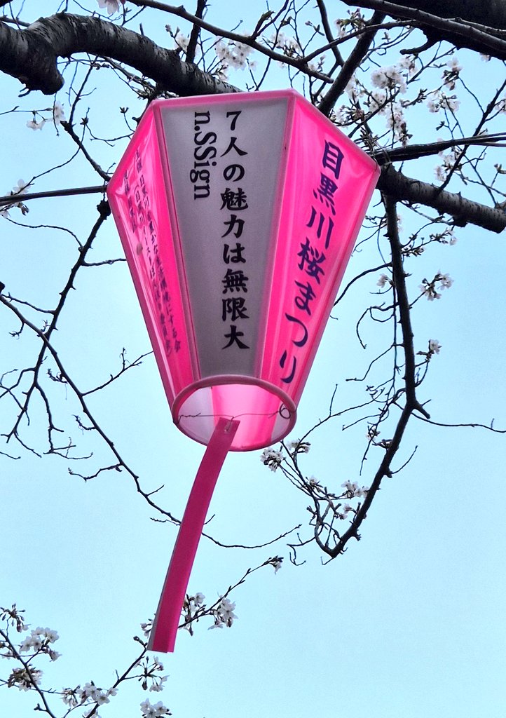 さぴ☀️ tweet media