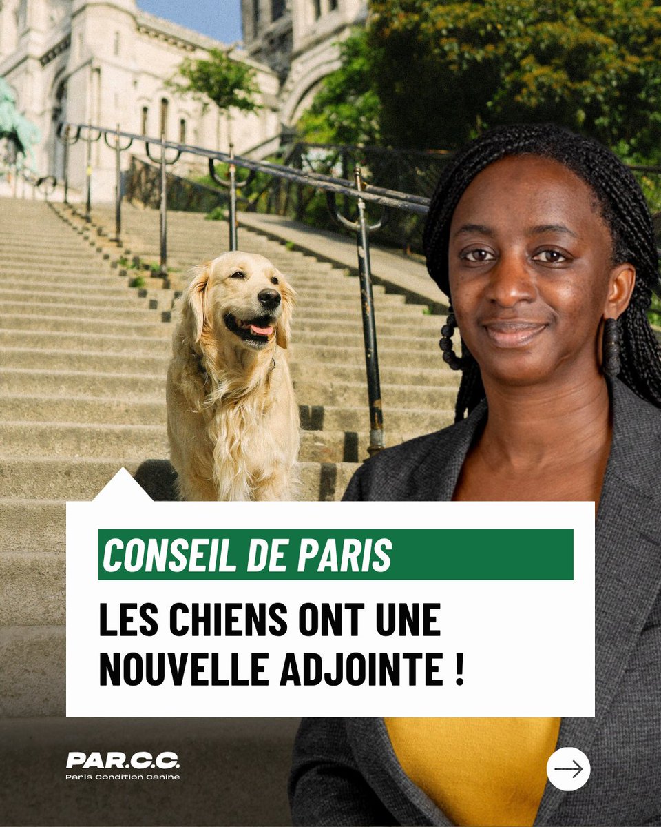 Paris Condition Canine tweet media