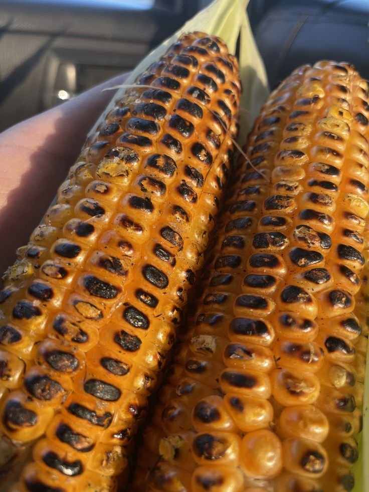 Zarwa 🦢 tweet media