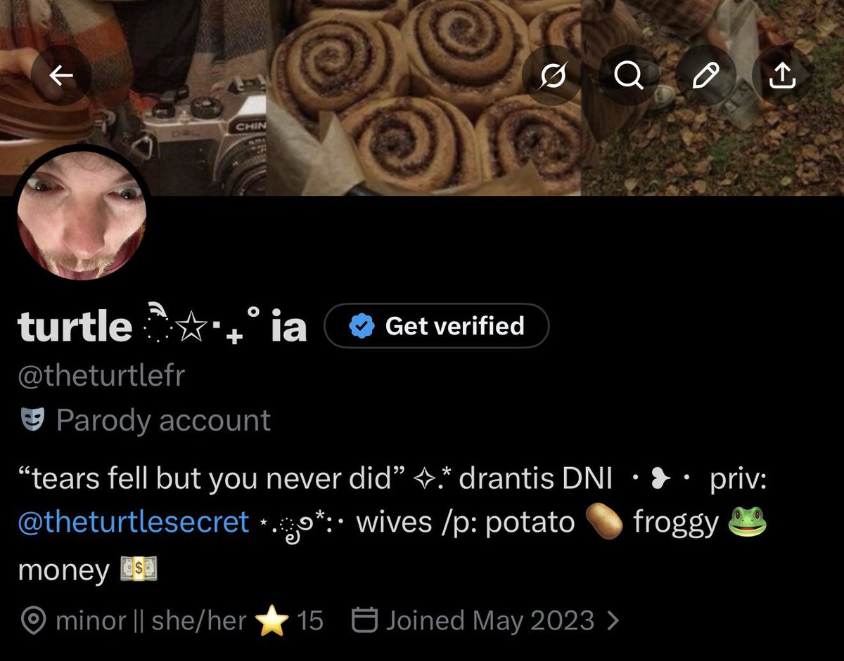 turtle ੈ✩‧₊˚ tweet media