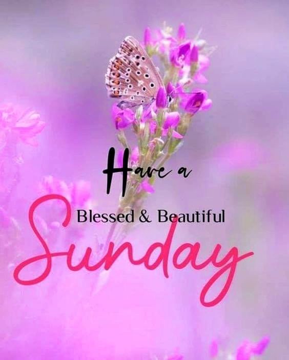 pinktearoom's tweet image. Hope your Sunday’s going well ✨
A gentle reminder to slow down and look after you too 💗
#SundayVibes #SelfCareSunday #Wellbeing #TakeCareOfYou #MidlifeWellness