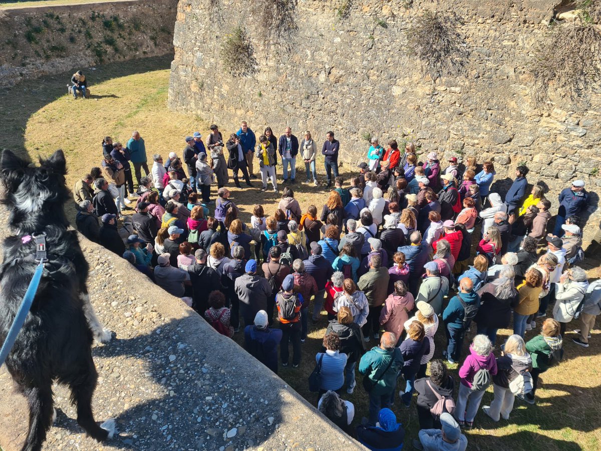 Amics dels Castells i del Nucli Antic de Tortosa tweet media