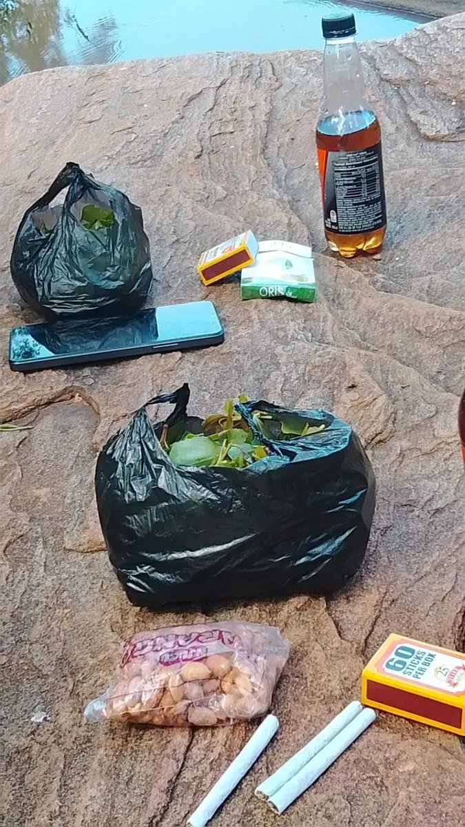 missedcall🌿 tweet media