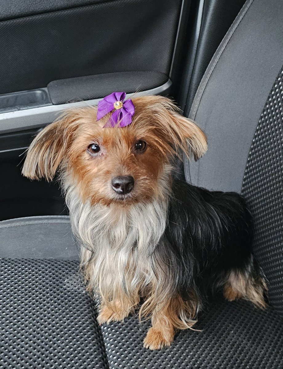 Génesis 🦋 tweet media