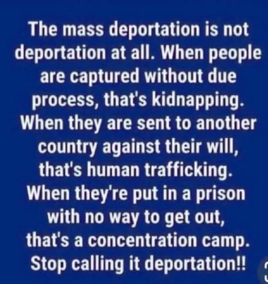 Brown Eyed Susan tweet media