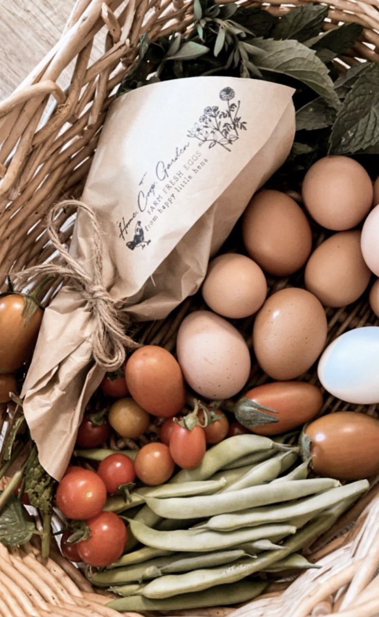 Tallow Twins | Skincare tweet media