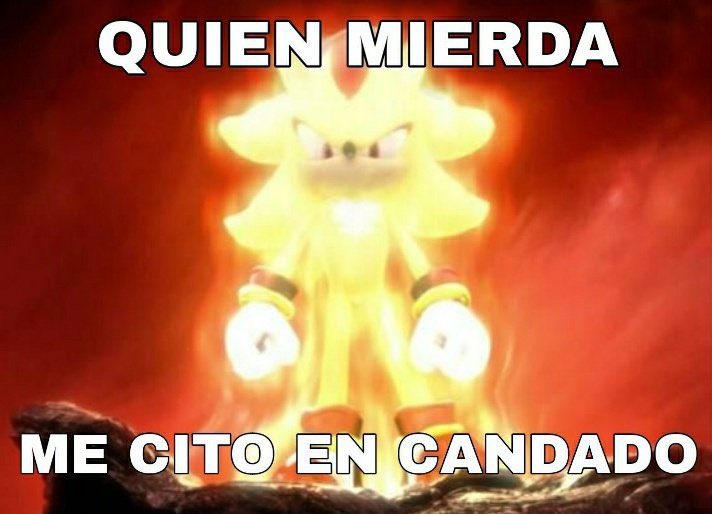 memedroga tweet media