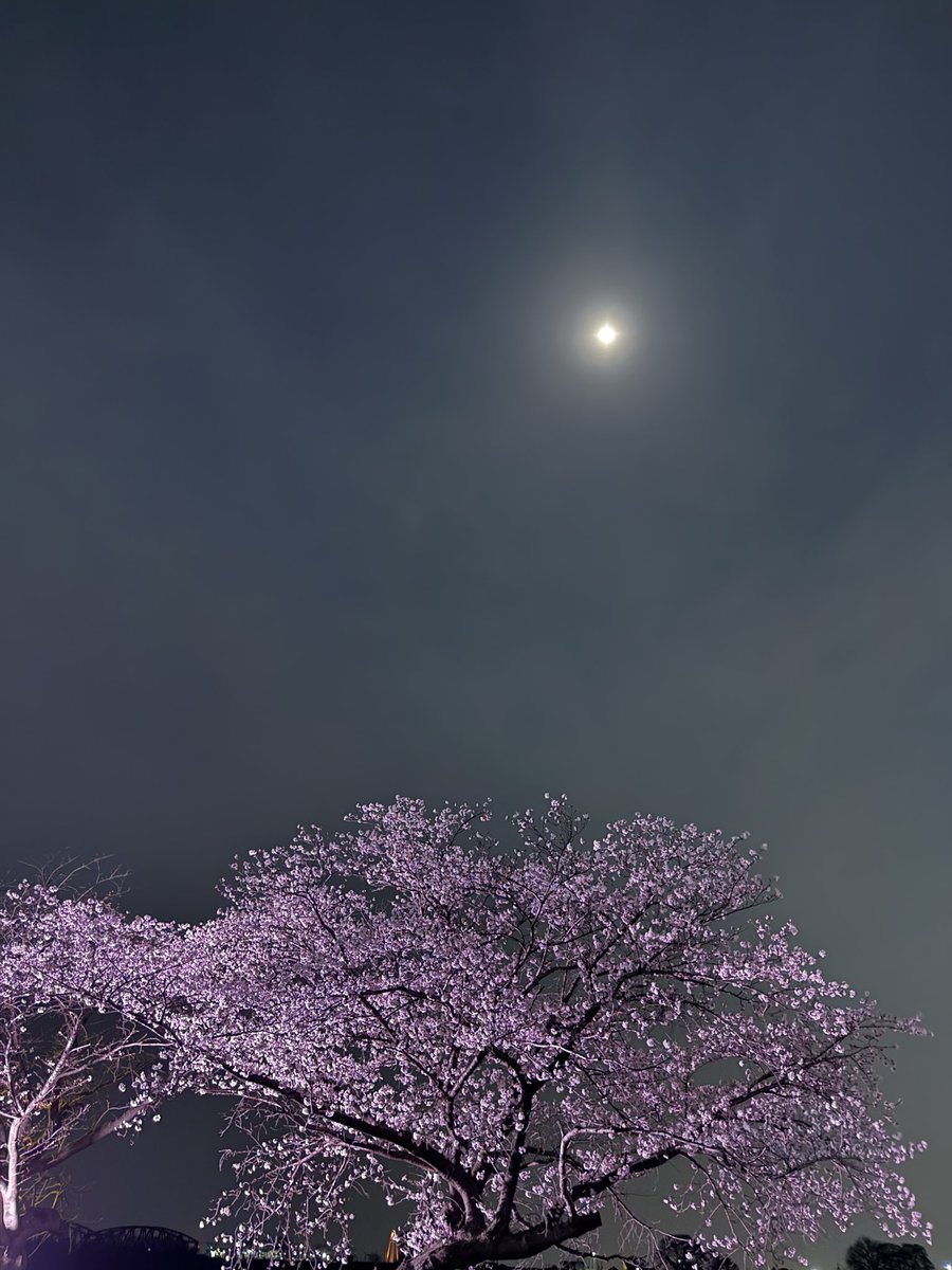 Mon@内田雄馬（Beside YU ） tweet media