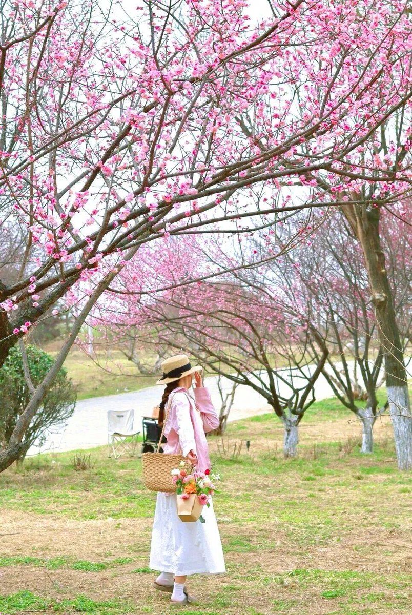 Ayan Mamedova tweet media