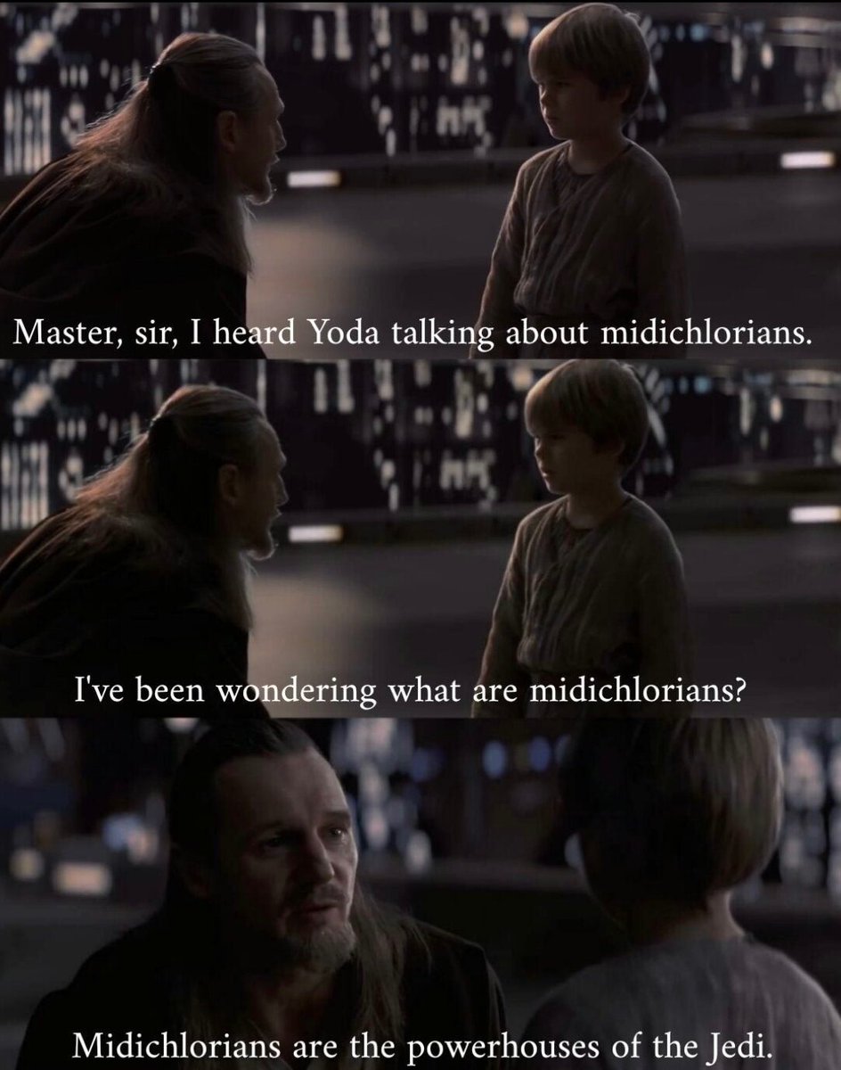 𝕵𝖆𝖉𝖊 ☧ ✠🌻 tweet media