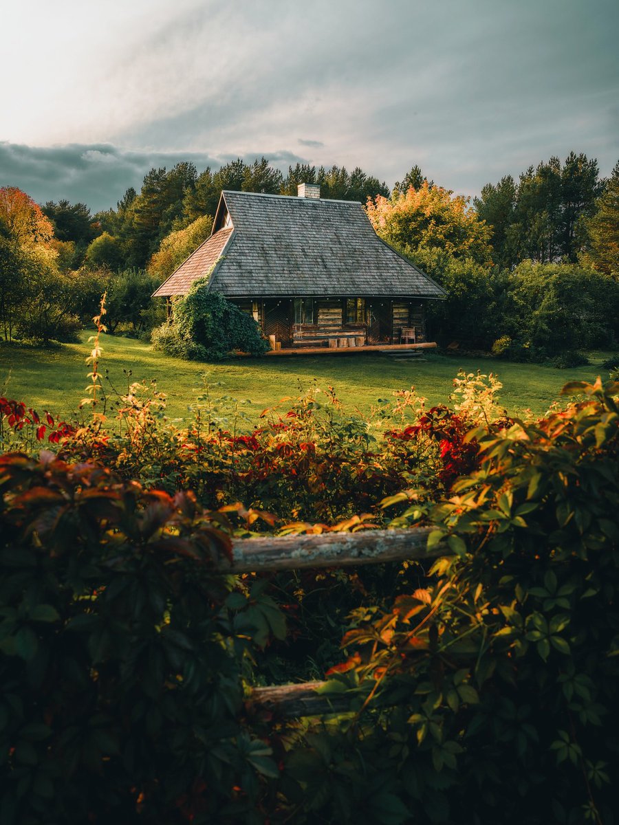 𝘼𝙡𝙞 tweet media