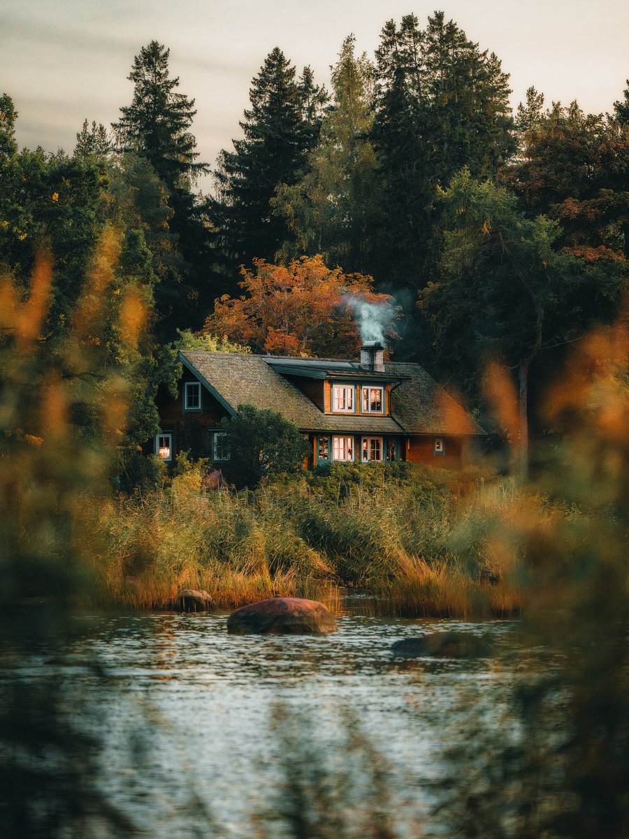 𝘼𝙡𝙞 tweet media