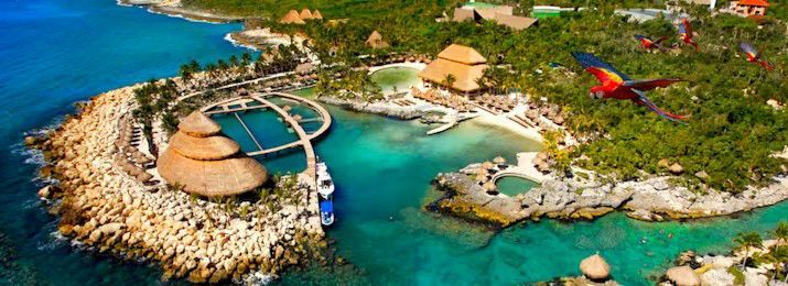 Destination Coupons tweet media