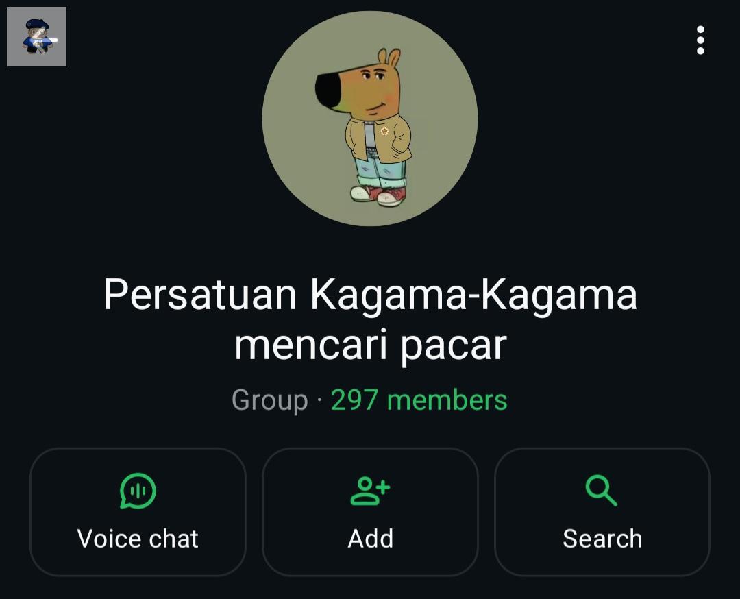 NO DM - KIRIM FESS CEK HIGHLIGHTS tweet media