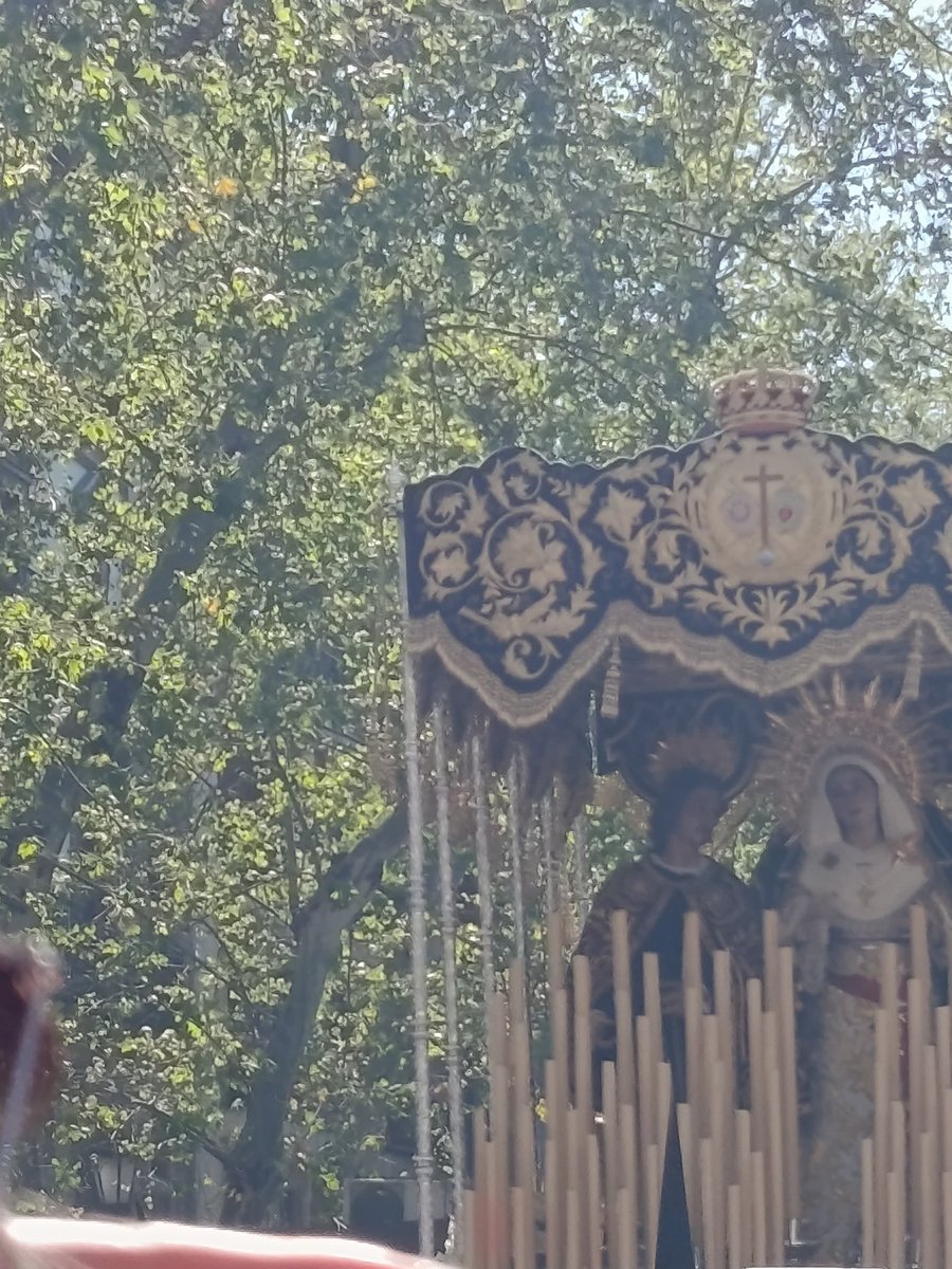CinguloyEsparto's tweet photo. Varal delantero izquierdo del Palio de Jesús Despojado se ha roto. 

📸 @jesuspato7 https://t.co/9yIQdemaae