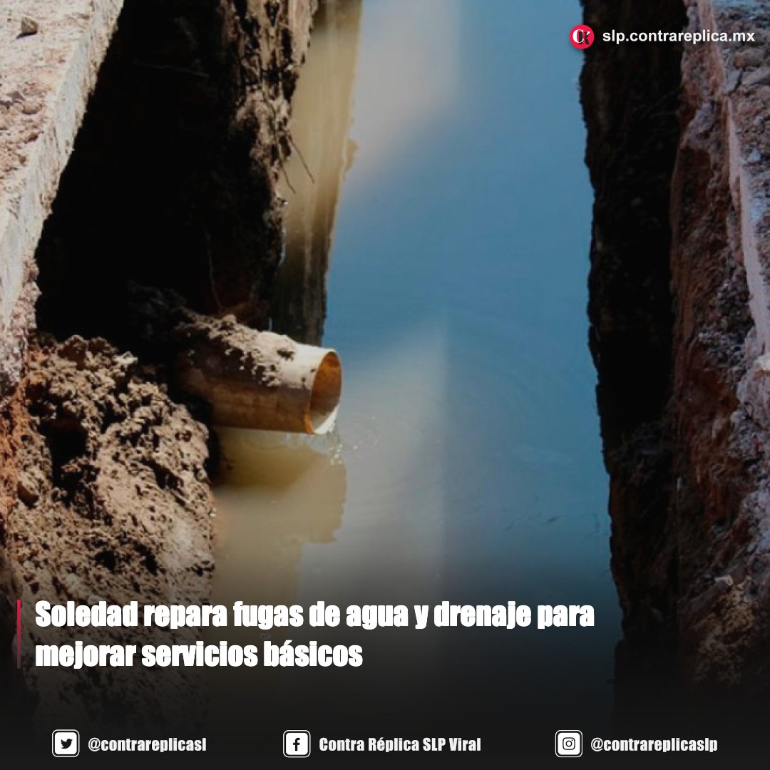 Contra Réplica San Luis Potosí tweet media