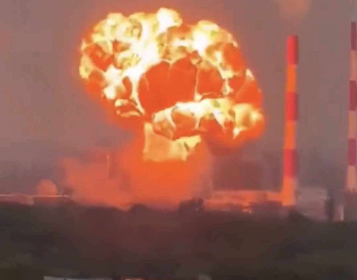 Art Candee 🍿🥤 tweet media