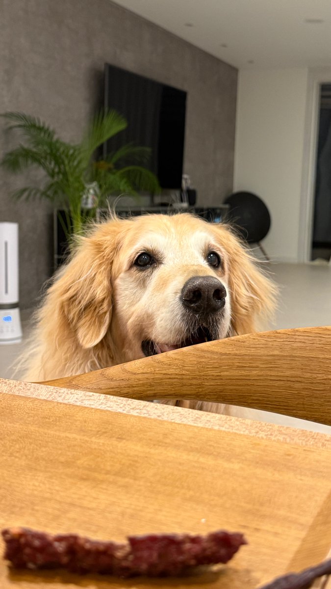 Girlfren LJS 🌼✨️🇲🇾 tweet media