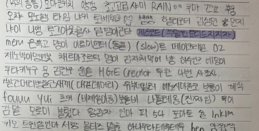 메스코드(격렬한료리드지지자) tweet media