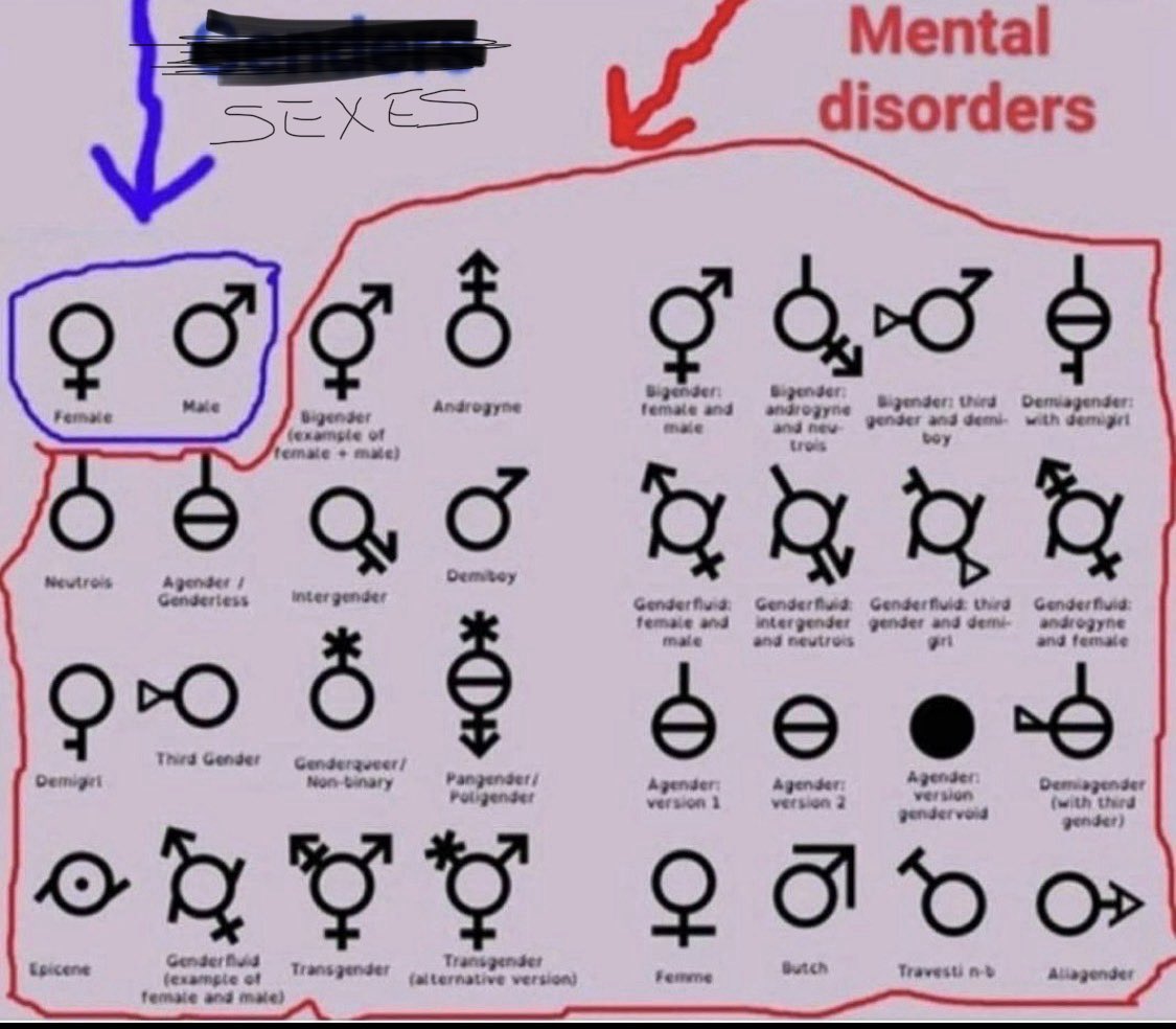 Sara Lewis Alexander tweet media