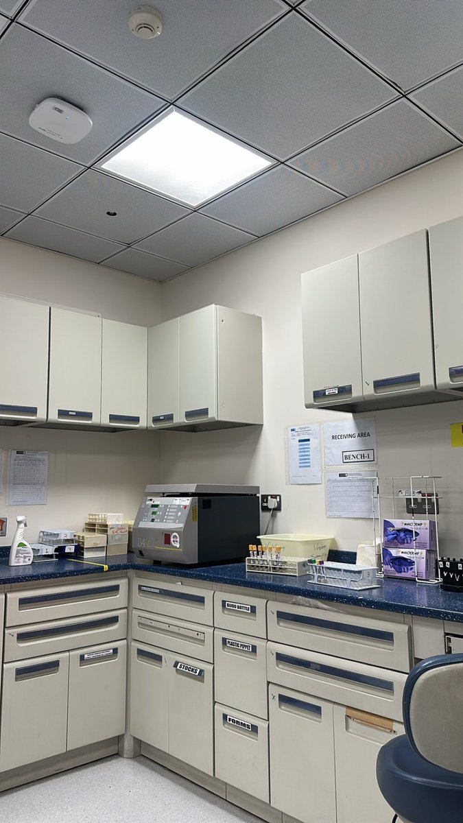 Moath Alahmari tweet media