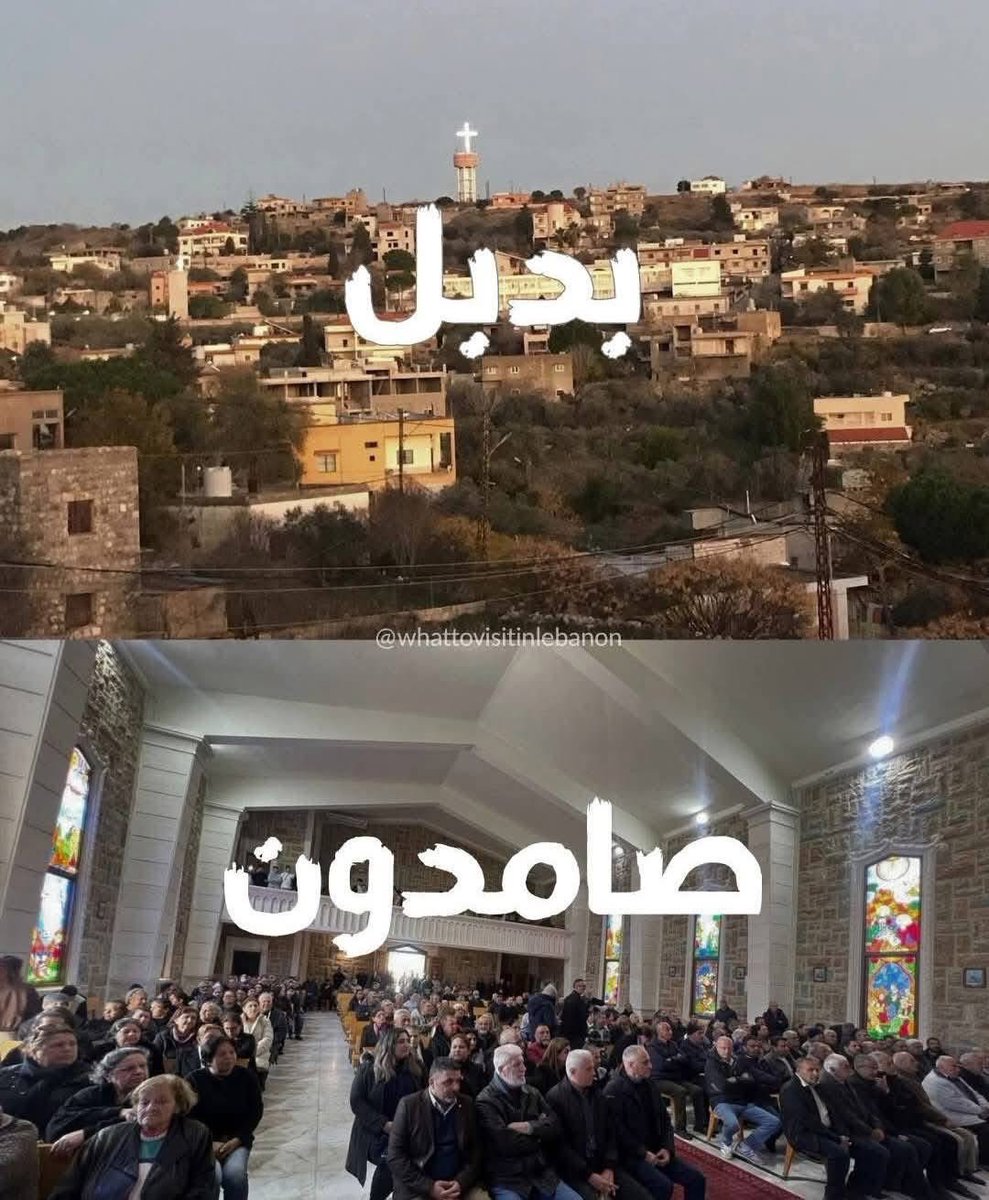 Amy Aoun tweet media