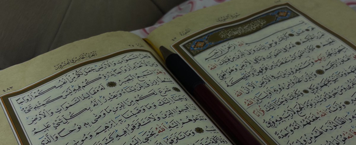 𝐸𝑓𝑢𝑙𝑖🇵🇸 tweet media