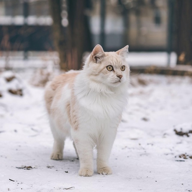 Bryan Basler tweet media