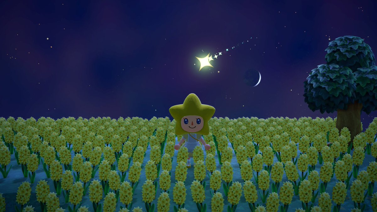 𝙼𝚊𝚢𝚞𝚛𝚊 (旧ちい) tweet media