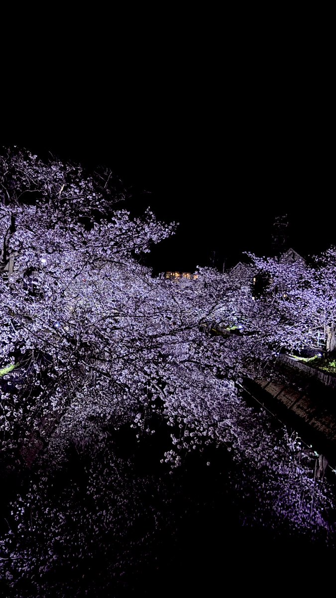 𝑳𝒊𝒄𝒂.⋆𝜗𝜚 tweet media