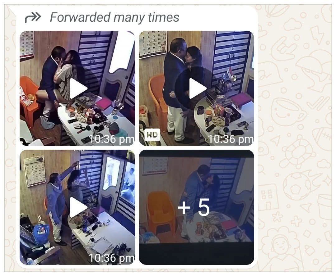 The Cricket Bite𓃵 tweet media