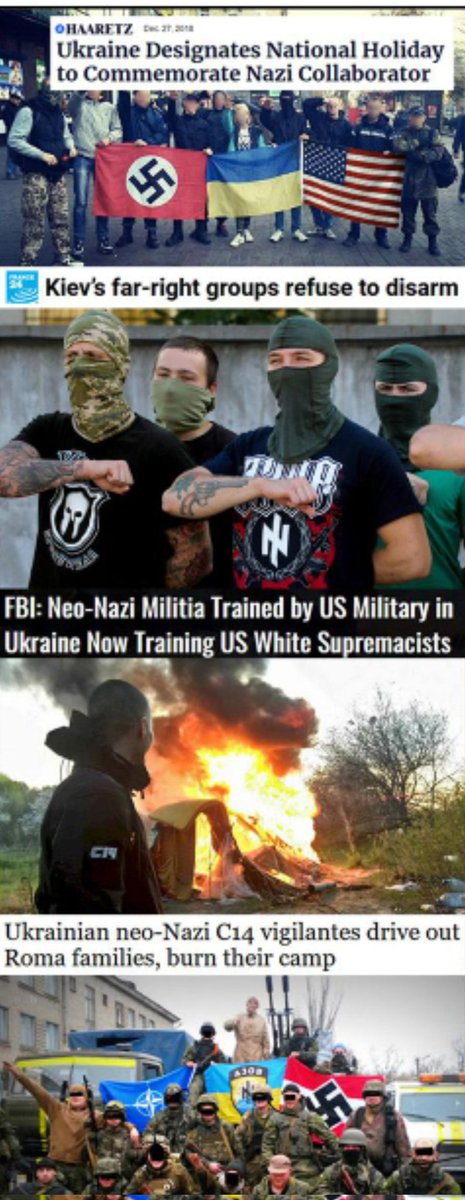 Sieghard Wille tweet media