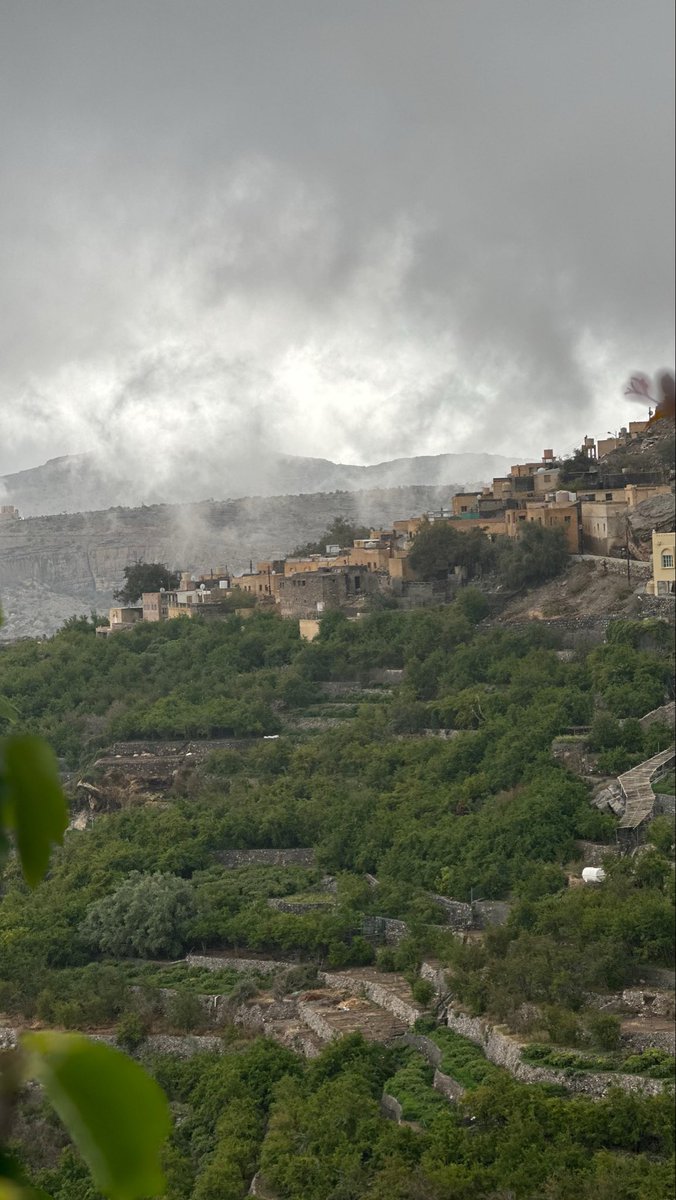 ‏﮼عبدالعزيز ﮼🫀💉 tweet media