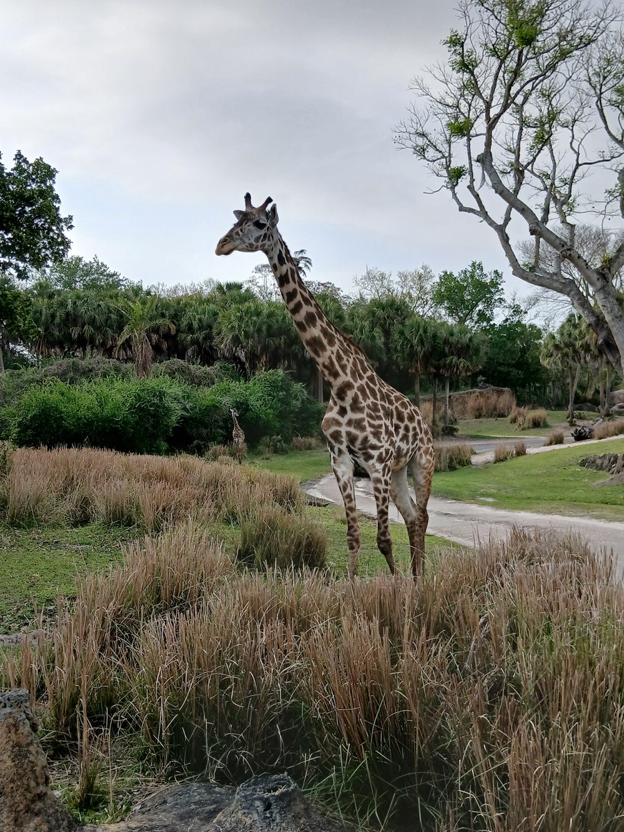 Daily Picture Theme tweet media