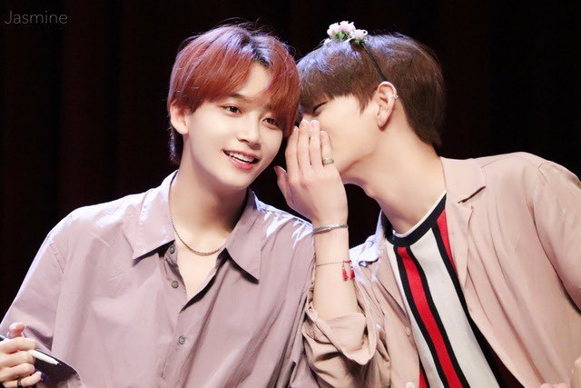 양양이 tweet media