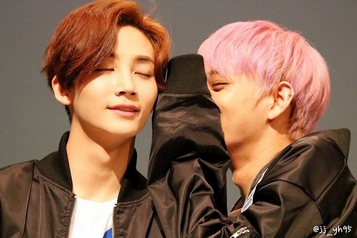 양양이 tweet media