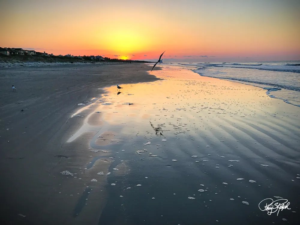 Perry Ralph tweet media