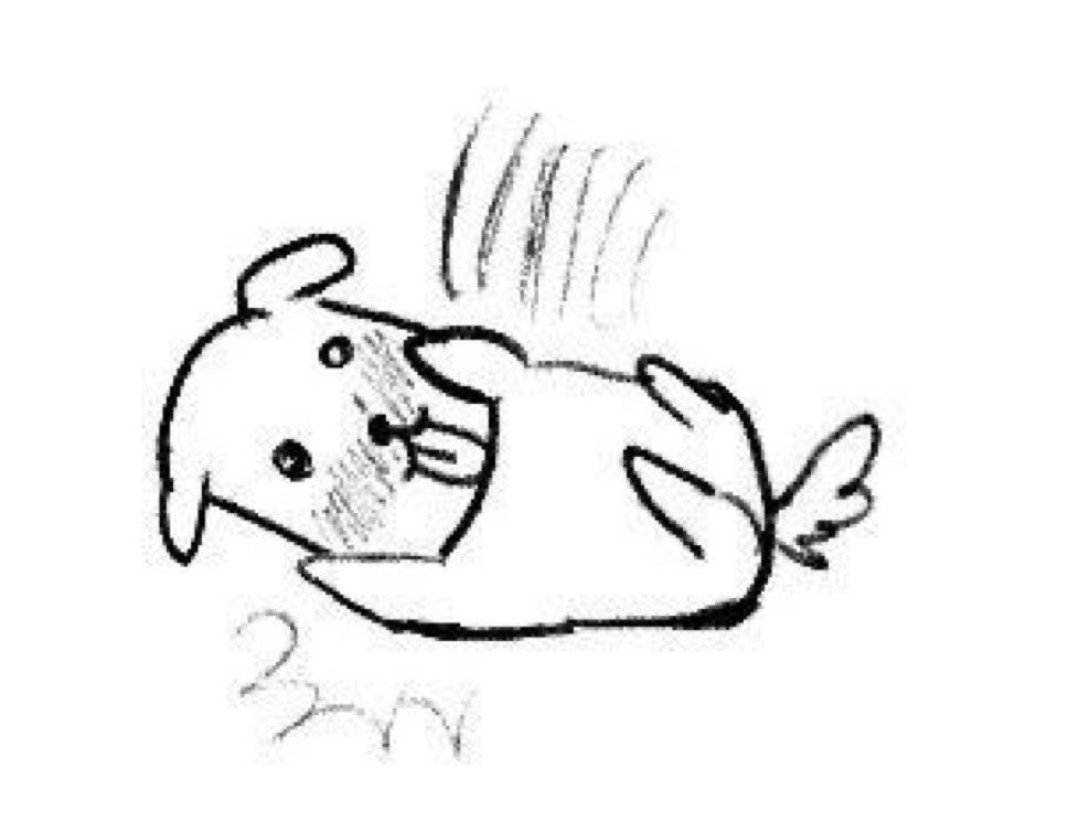 기좋이 tweet media