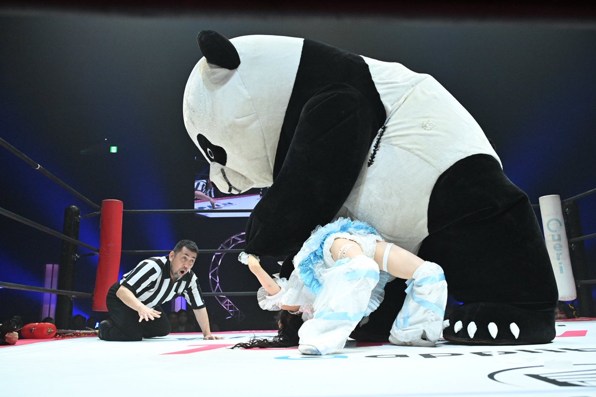 瑞希 mizuki tweet media