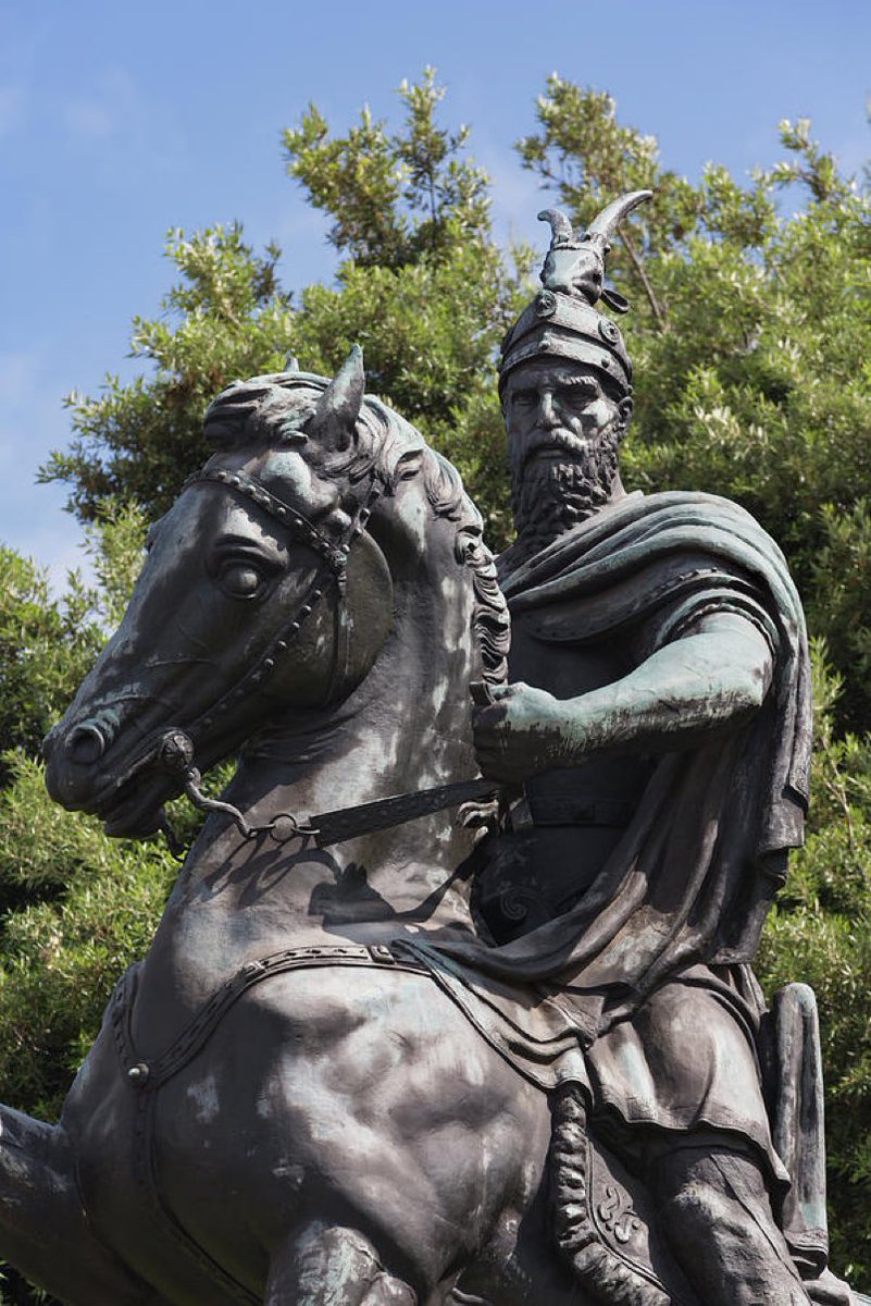 Wolfvillage84🧢 tweet media