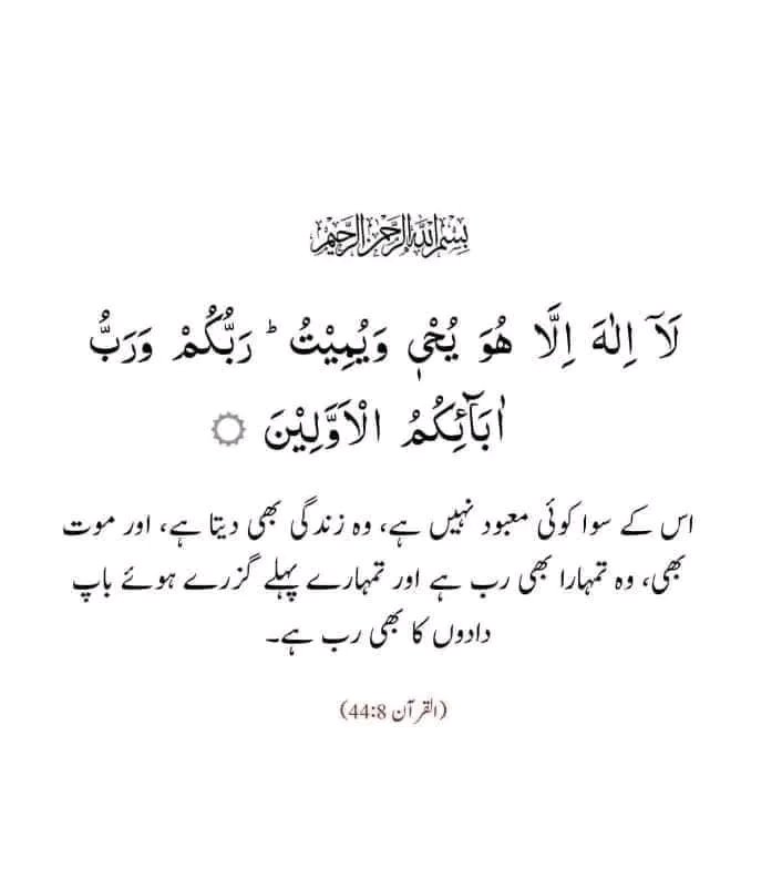 🌸Ameer khan 🇵🇰 tweet media